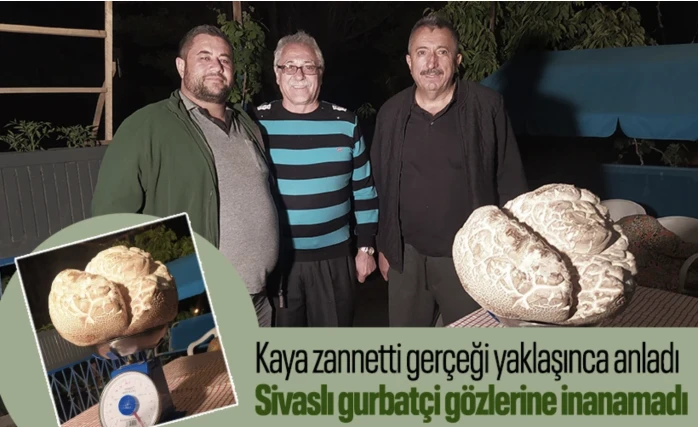 Kaya zannetti bulduğu mantarla büyük şok yaşadı