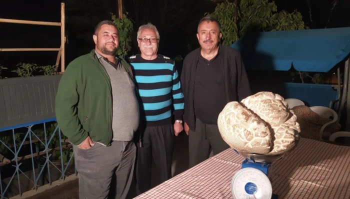 Kaya zannetti bulduğu mantarla büyük şok yaşadı