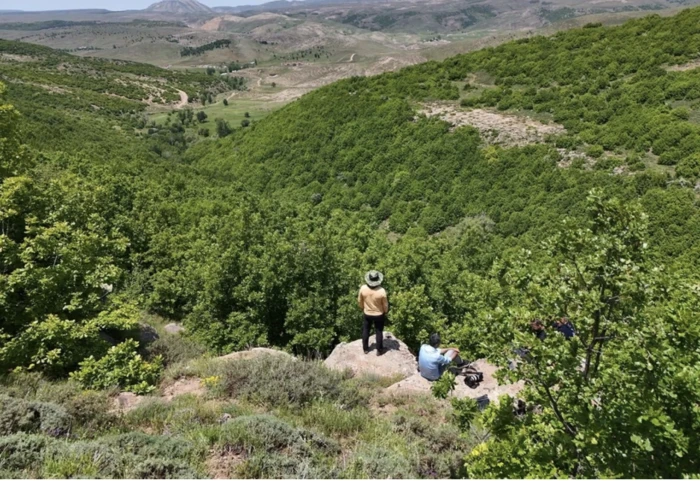 Bingöl ormanında kartal yavruları
