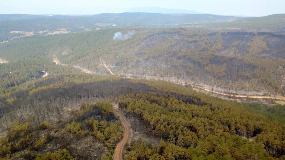 Karabük'te Orman Yangınına Müdahale Devam Ediyor