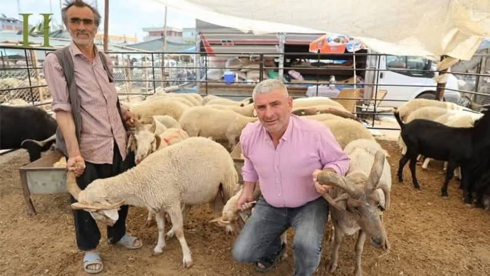Dört Boynuzlu Koçlar Hayvan Pazarında İlgi Odağı Oldu