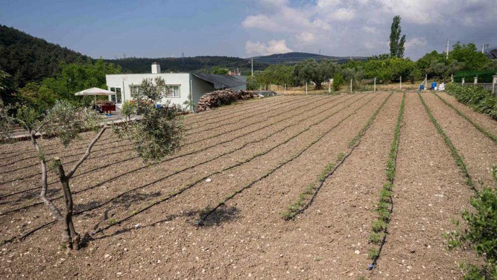 Kurban Atıkları Tarıma Kazandırılıyor
