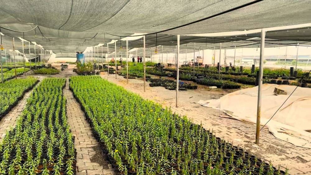 Eyyübiye Belediyesi'nden Yeşil Proje Hamlesi