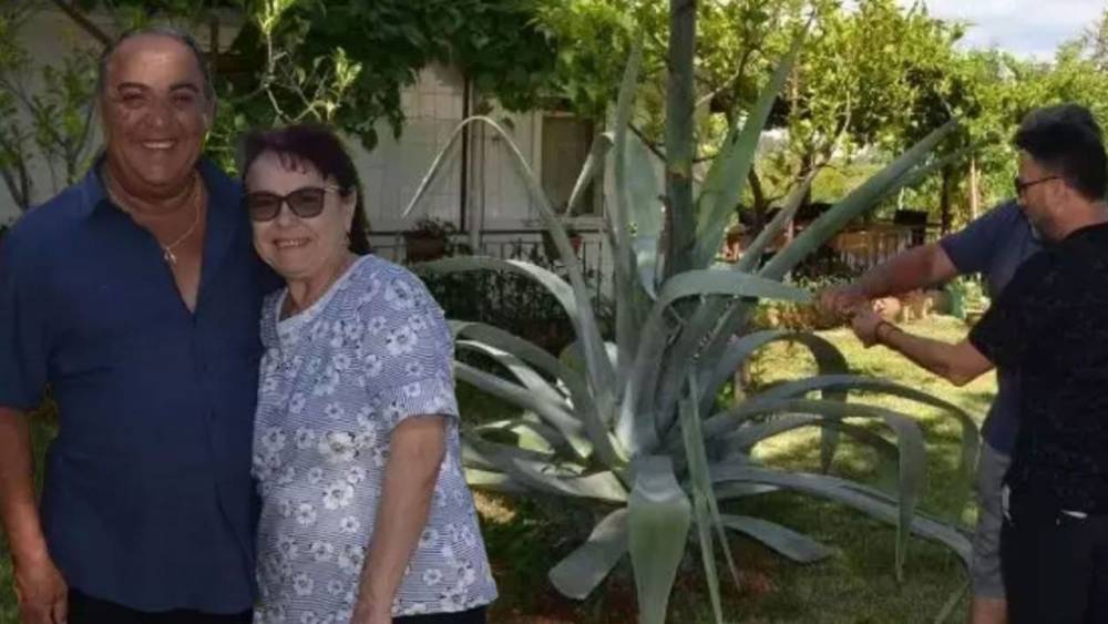 Benzersiz Agave: Nadir Bir Kaktüs Antalya'da Bulundu!