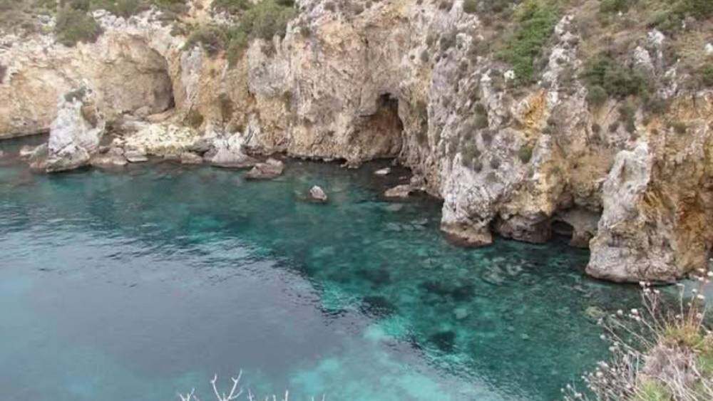 Kuşadası'nda Nadir Bir Akdeniz Foku Görüntülendi