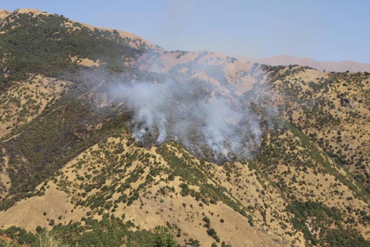 Hakkari'de ormanlık alanda çıkan yangına müdahale sürüyor