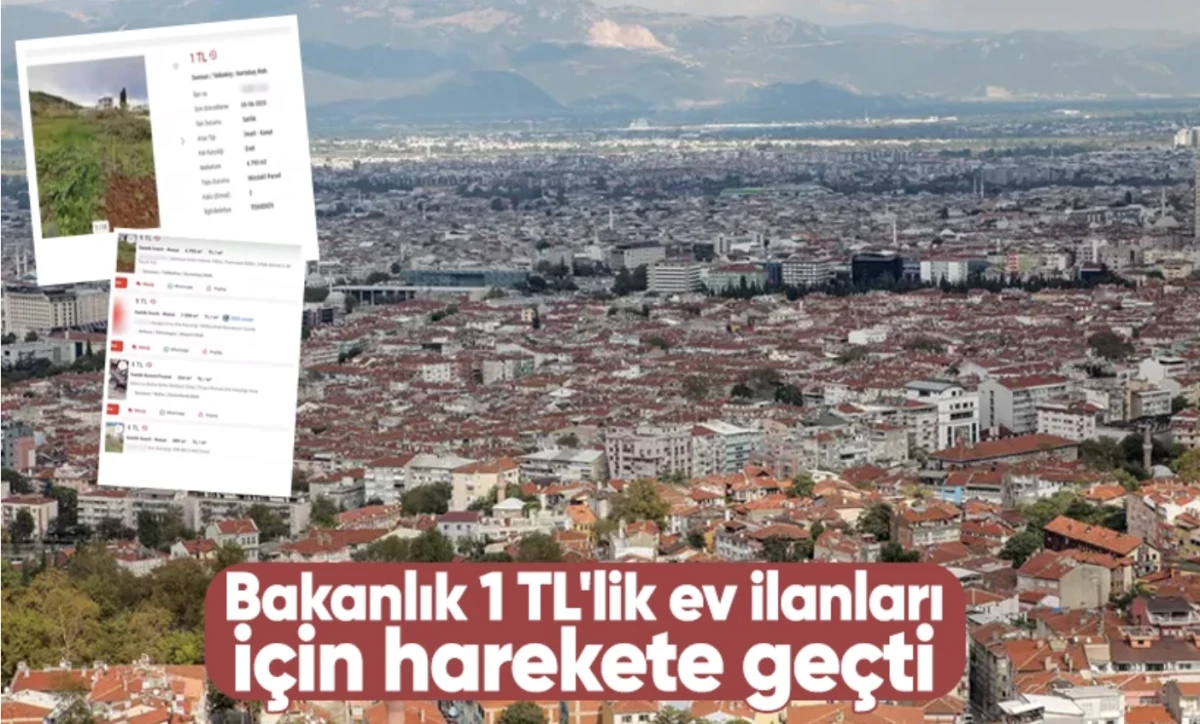 1 TL'lik ev ilanları için Bakanlık harekete geçti
