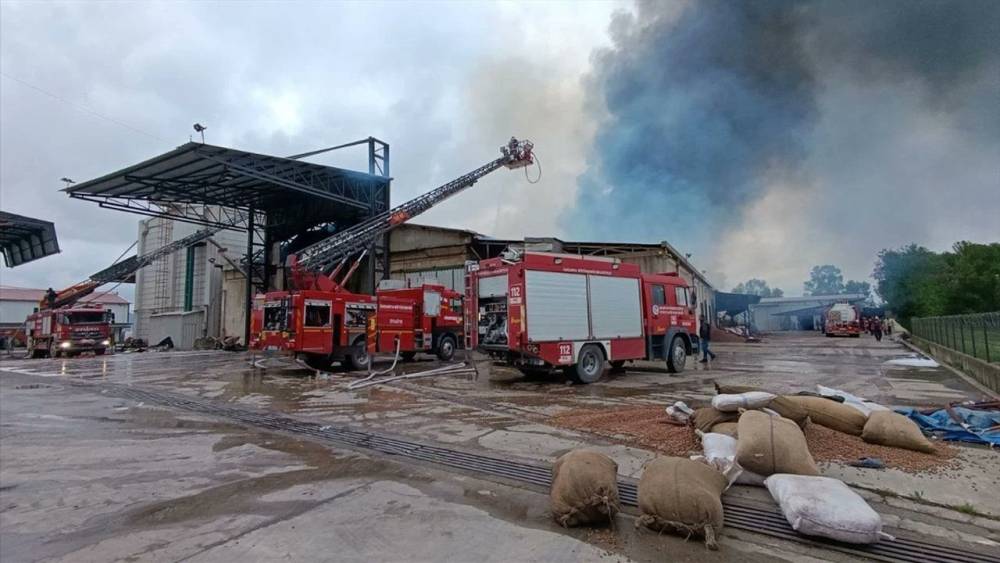 Karasu'da Fındık Fabrikasında Yangın!