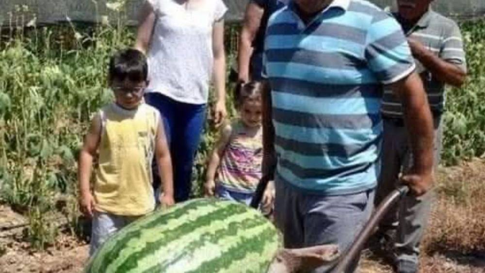Dev Karpuz Rekoru Manavgat'tan!