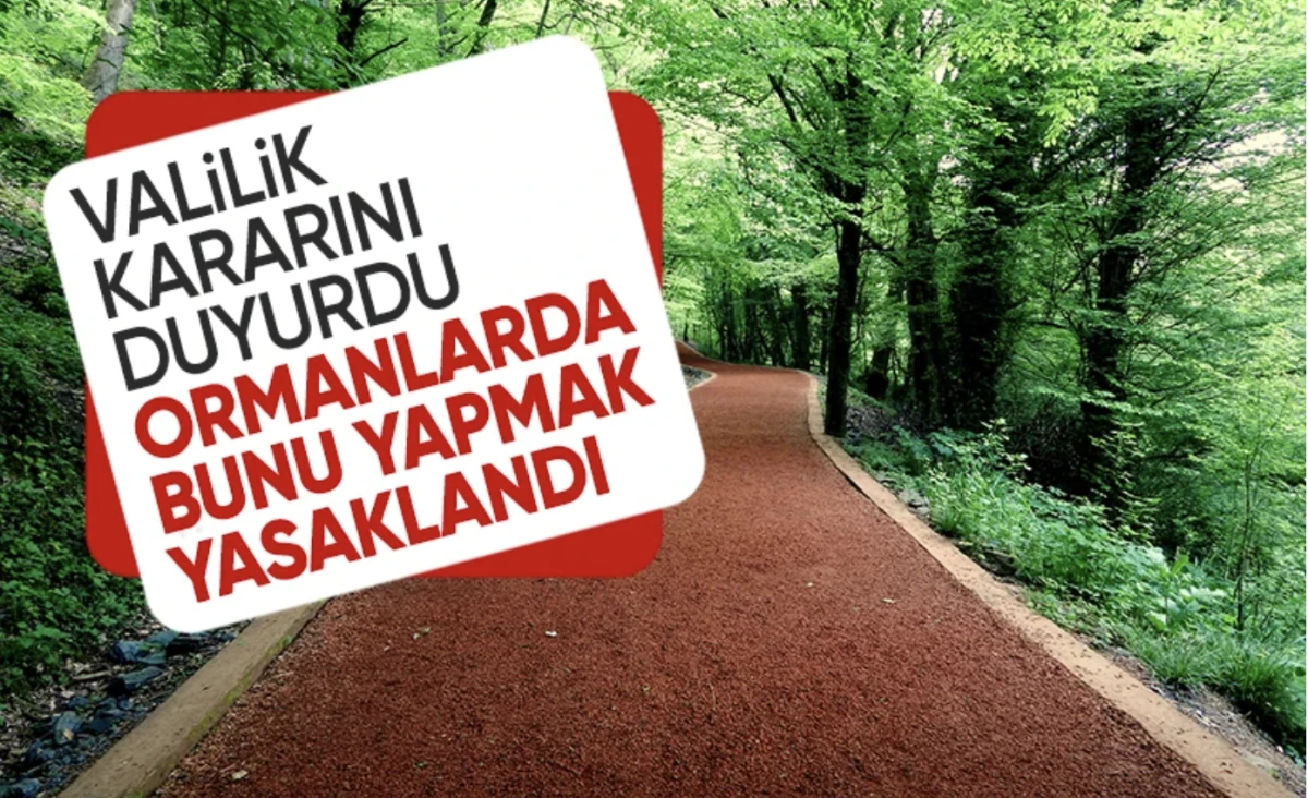 15 Ekim’e kadar yasak! İstanbul’da ormanlara giriş ve ateş yakmak  yasaklandı