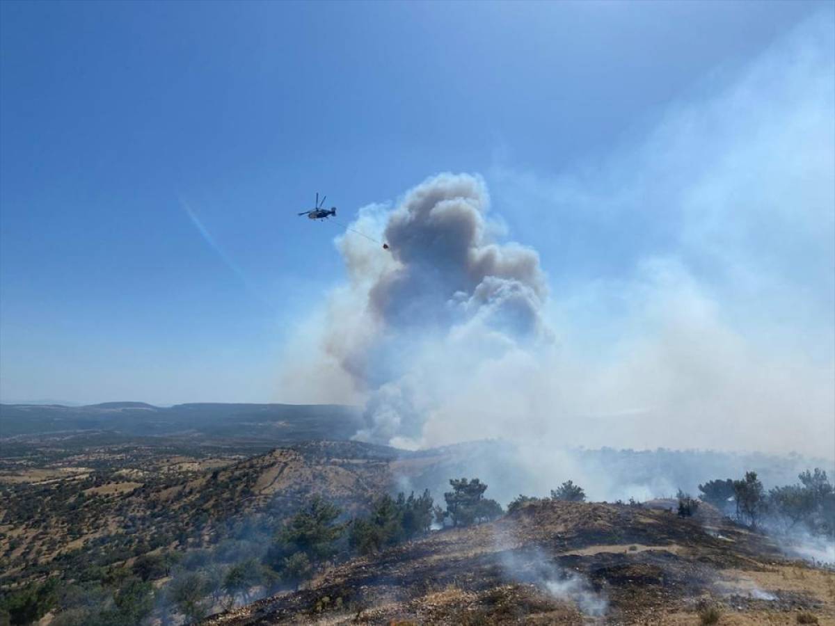 Çanakkale'de çıkan orman yangınına müdahale ediliyor