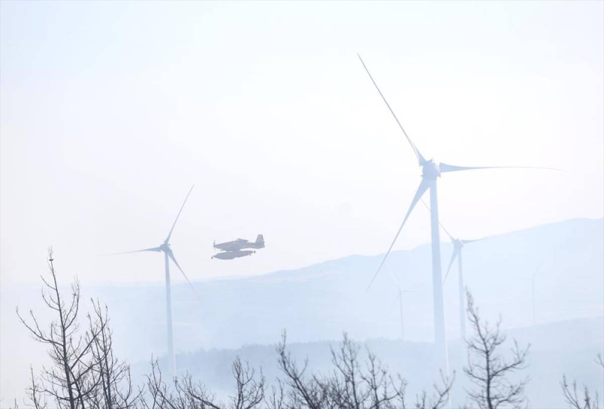  Tekirdağ'da çıkan orman yangını Çanakkale'ye sıçradı