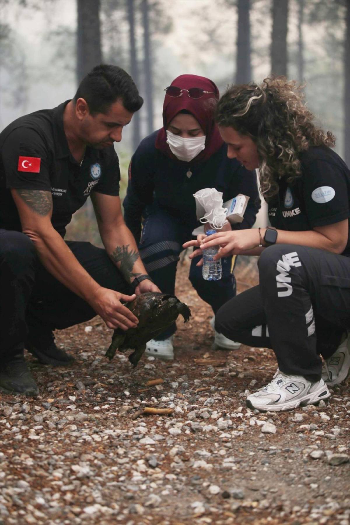 Köyceğiz'de orman yangınından etkilenen  kaplumbağayı UMKE ekibi kurtardı