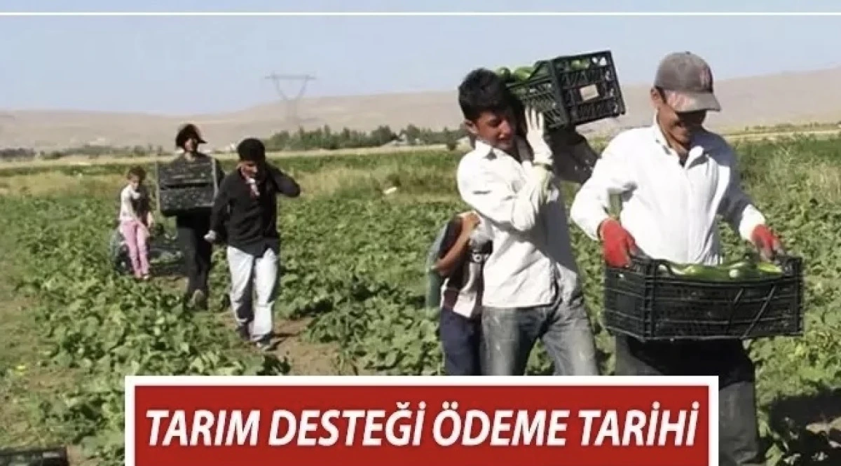 2025 Ekim Tarımsal Destek Ödemesi Ne Zaman Yatacak? Çiftçi Destek Ödemesi Yattı mı? 