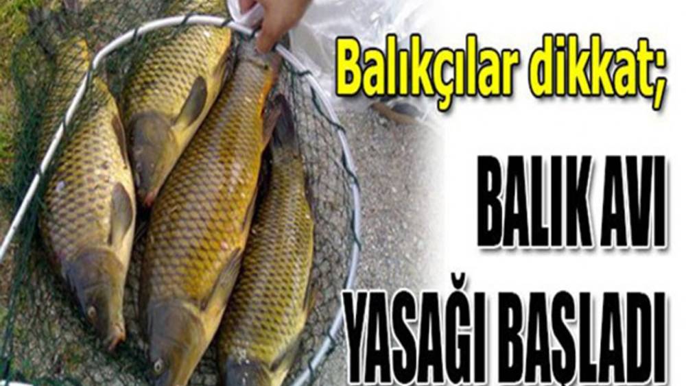 Kars'ta Balıkçılığa Yasak Geldi!