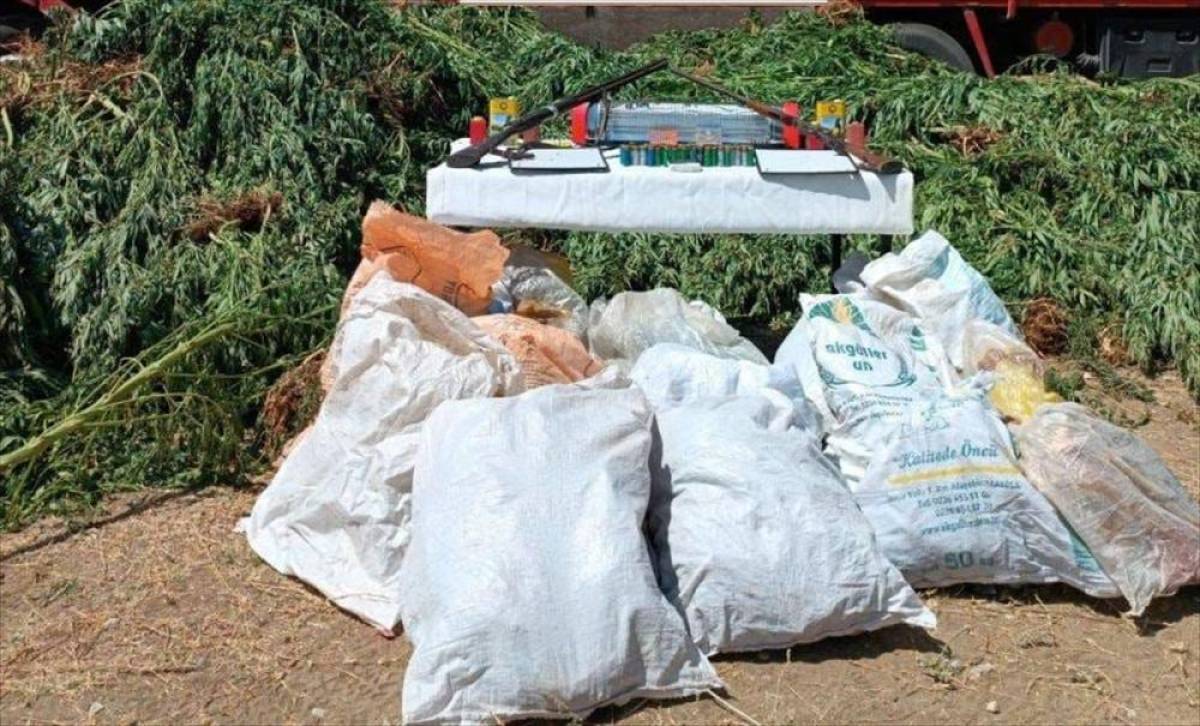 Muğla'da uyuşturucu ve tarihi eser operasyonunda 3 zanlı yakalandı
