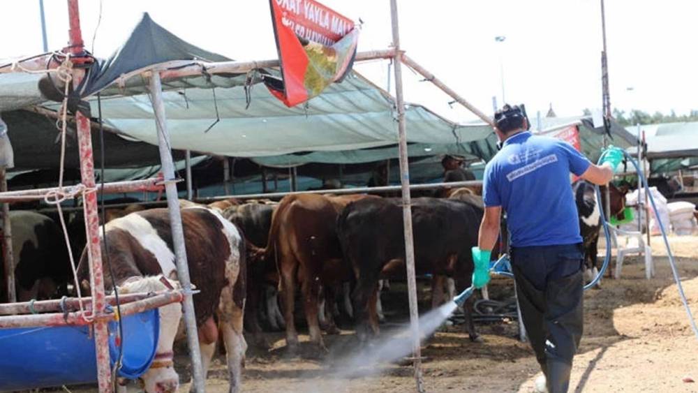 Antalya Kurban Bayramı İçin Haşere Mücadelede
