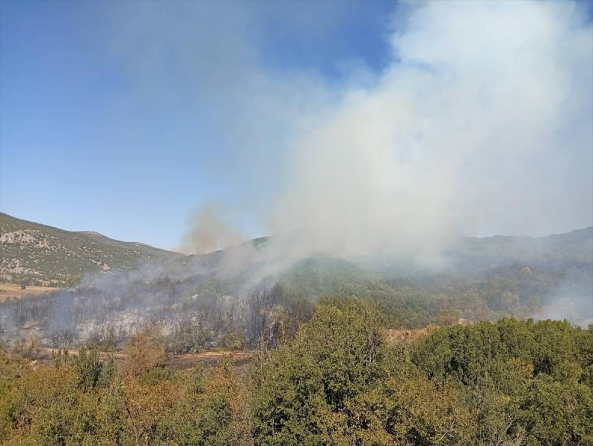 Burdur'da ormanlık alanda çıkan yangına müdahale ediliyor