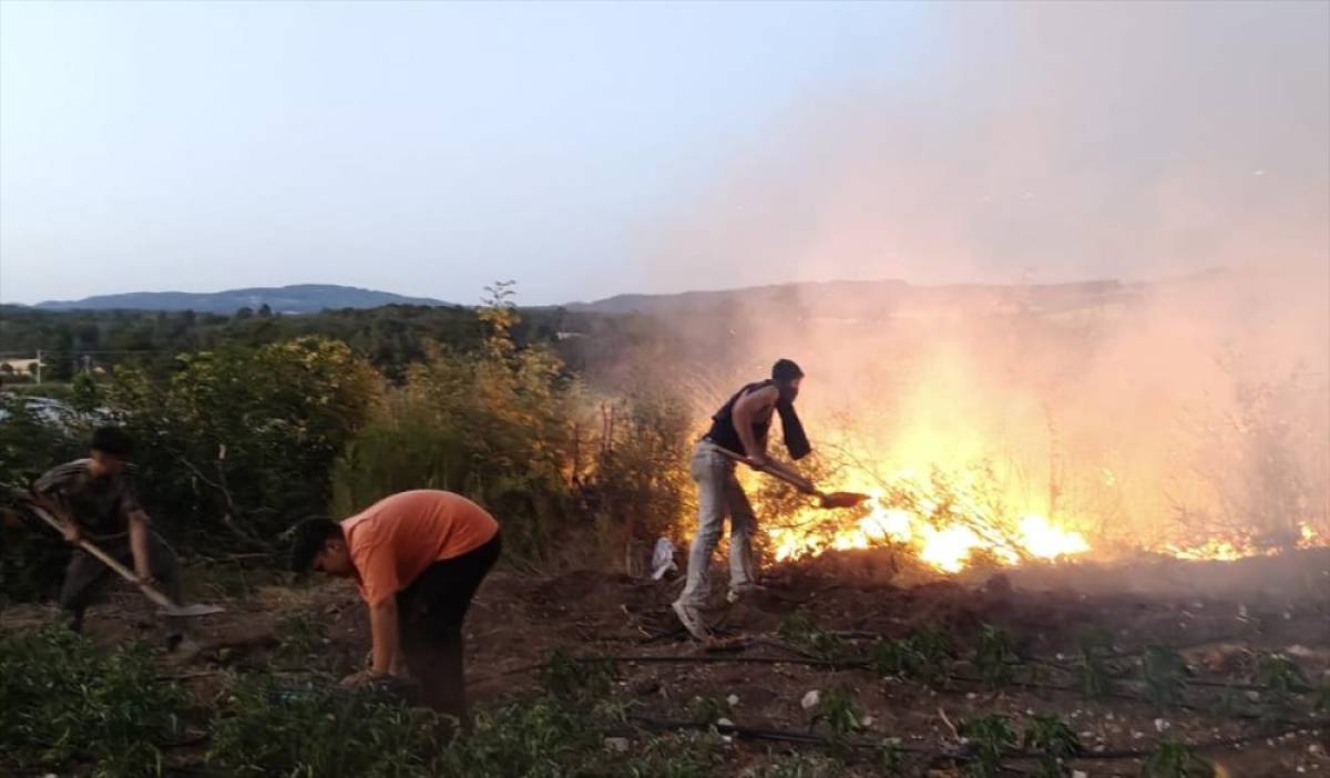 Balıkesir'de tavuk çiftliğinden ormana sıçrayan yangına ilişkin yakalanan 3 kişi adliyeye sevk edildi