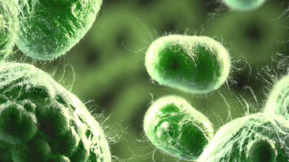 Küresel Antibiyotik Direnci: Yeni Umutlar
