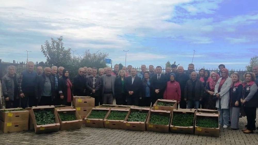Dünya Çiftçiler Günü'nde Fidan Dağıtımı Yapıldı