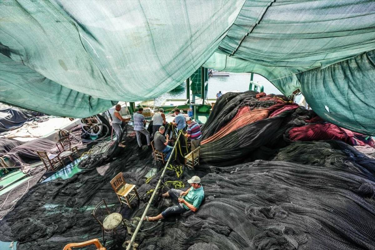 Güney Marmara ve Kuzey Ege'deki balıkçılar 