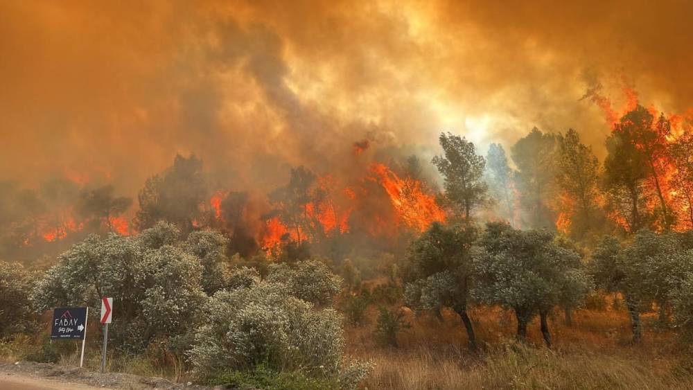 İzmir Orman Yangınları, Acil Tahliyeler ve Yeniden Uçuşlar