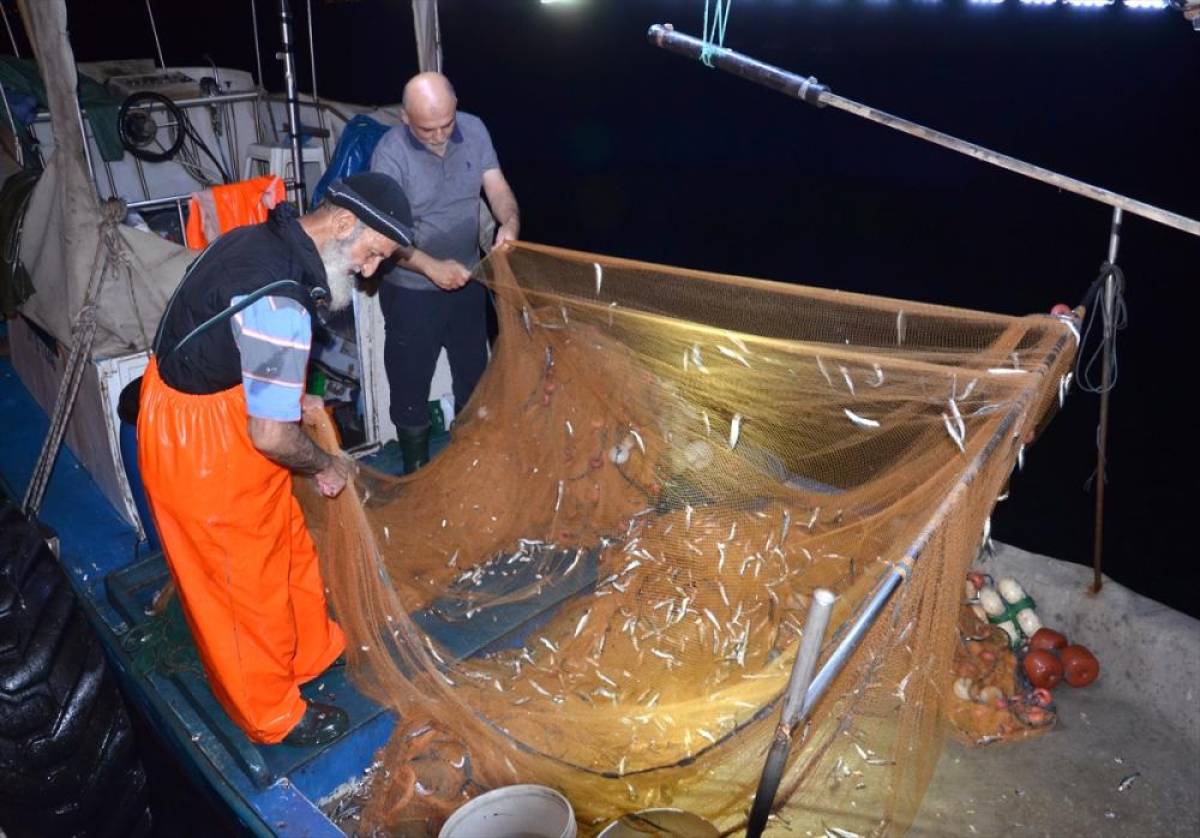 Kocaeli Ereğli Balık Hali'nde balık mezadı hareketliliği sürüyor