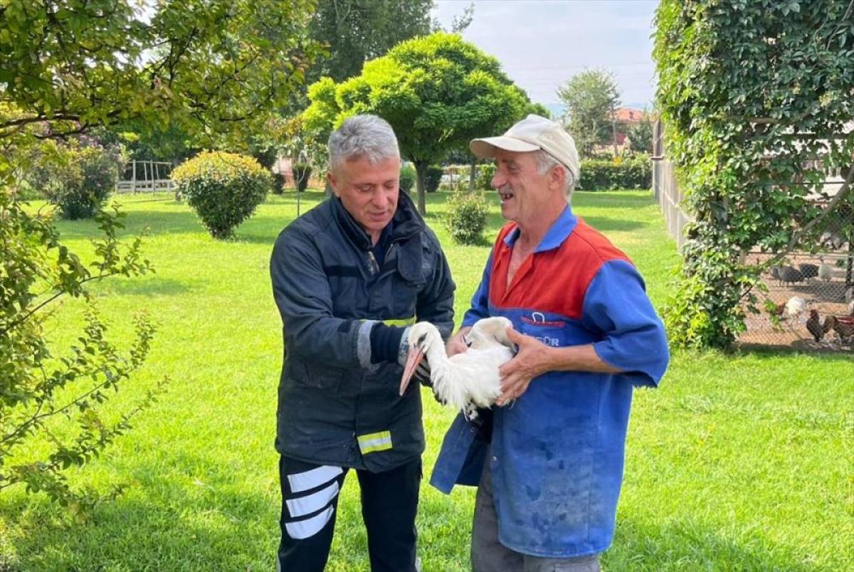 Tokat'ta yaralı leylek itfaiye ekiplerince kurtarıldı