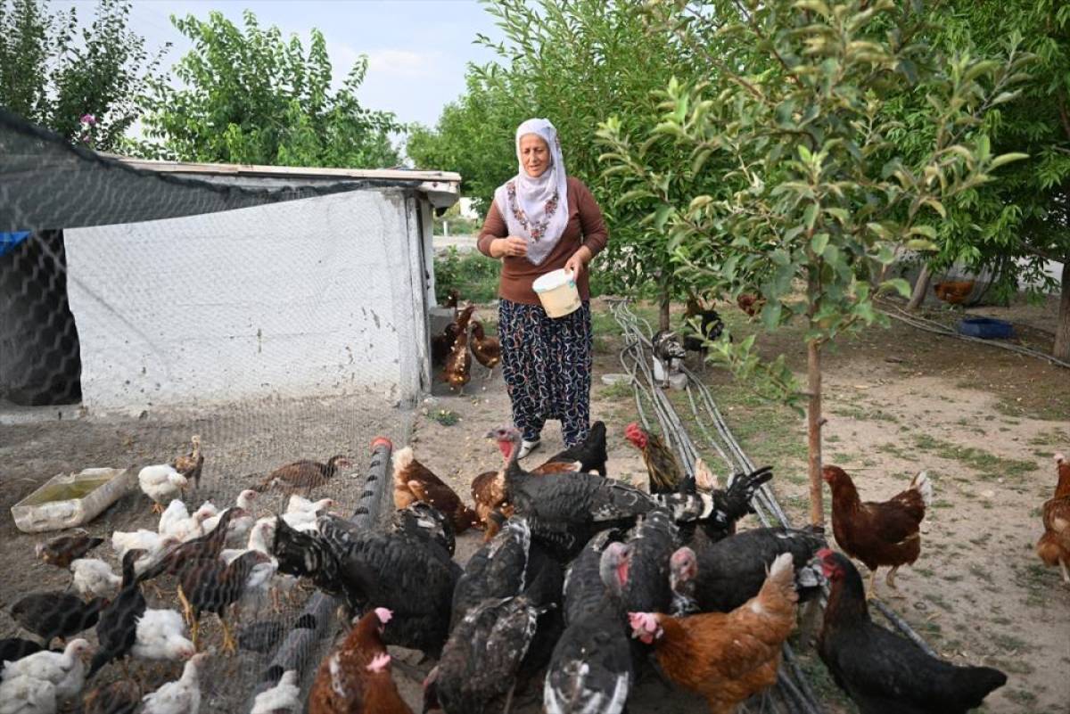 Osimhen'in dönüşü Kayserili Neslihan teyzeyi çok sevindirdi