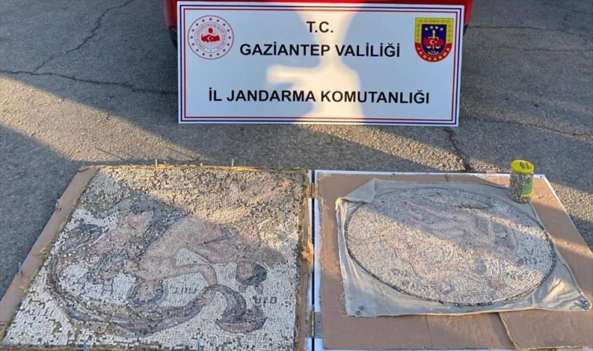 Gaziantep'te tarihi eser niteliğinde iki mozaik ele geçirildi