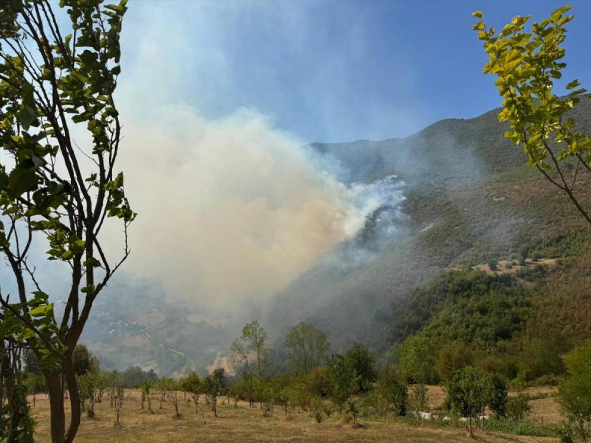 Bartın'da ormanlık alanda çıkan yangına müdahale ediliyor