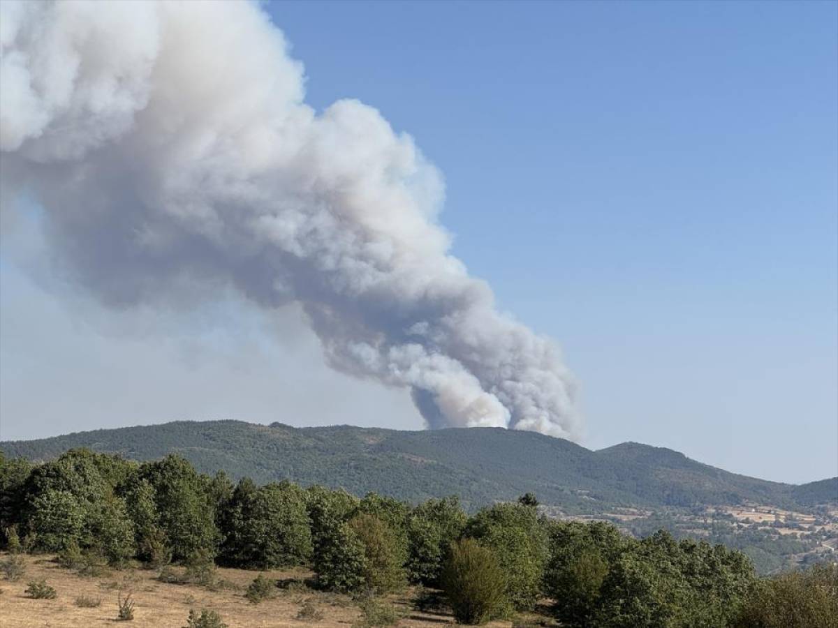 Karabük'te ormanlık alanda çıkan yangına müdahale ediliyor