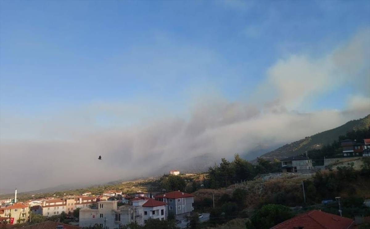 Denizli'de çıkan orman yangınına müdahale sürüyor