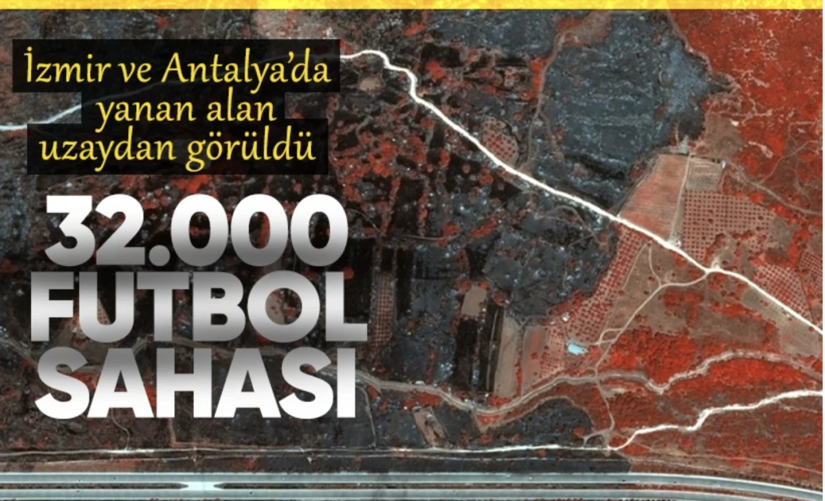 32 bin futbol sahası büyüklüğünde Ege ve Akdeniz'deki alan yandı