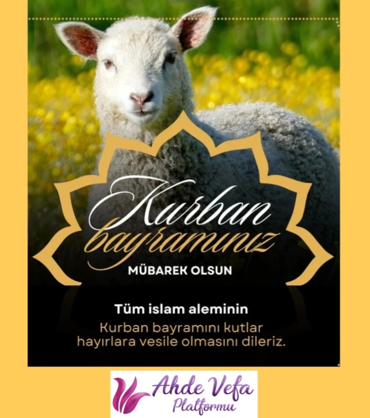 Ahde Vefa Platformu Başkanı Nuran Kırlak, kurban bayramı vesilesiyle mesaj yayımladı 