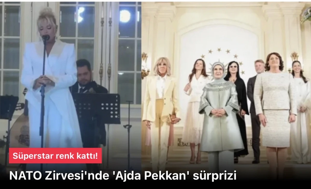 Ajda Pekkan NATO yemeğinde sahne aldı