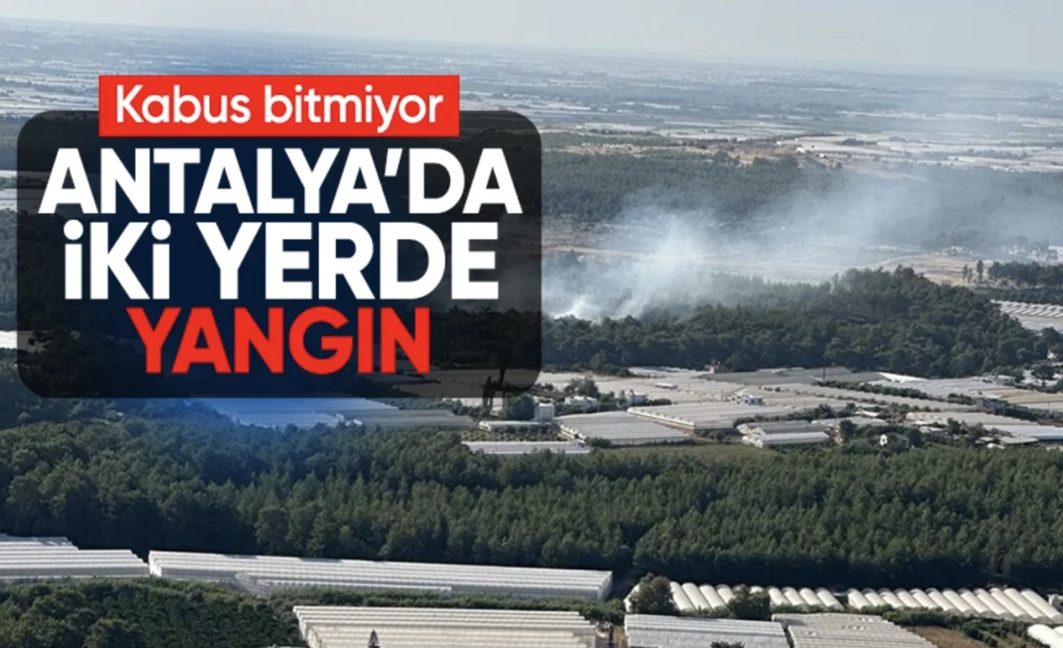 Alanya ve Aksu’da orman yangını: Alevlere havadan ve karadan müdahale