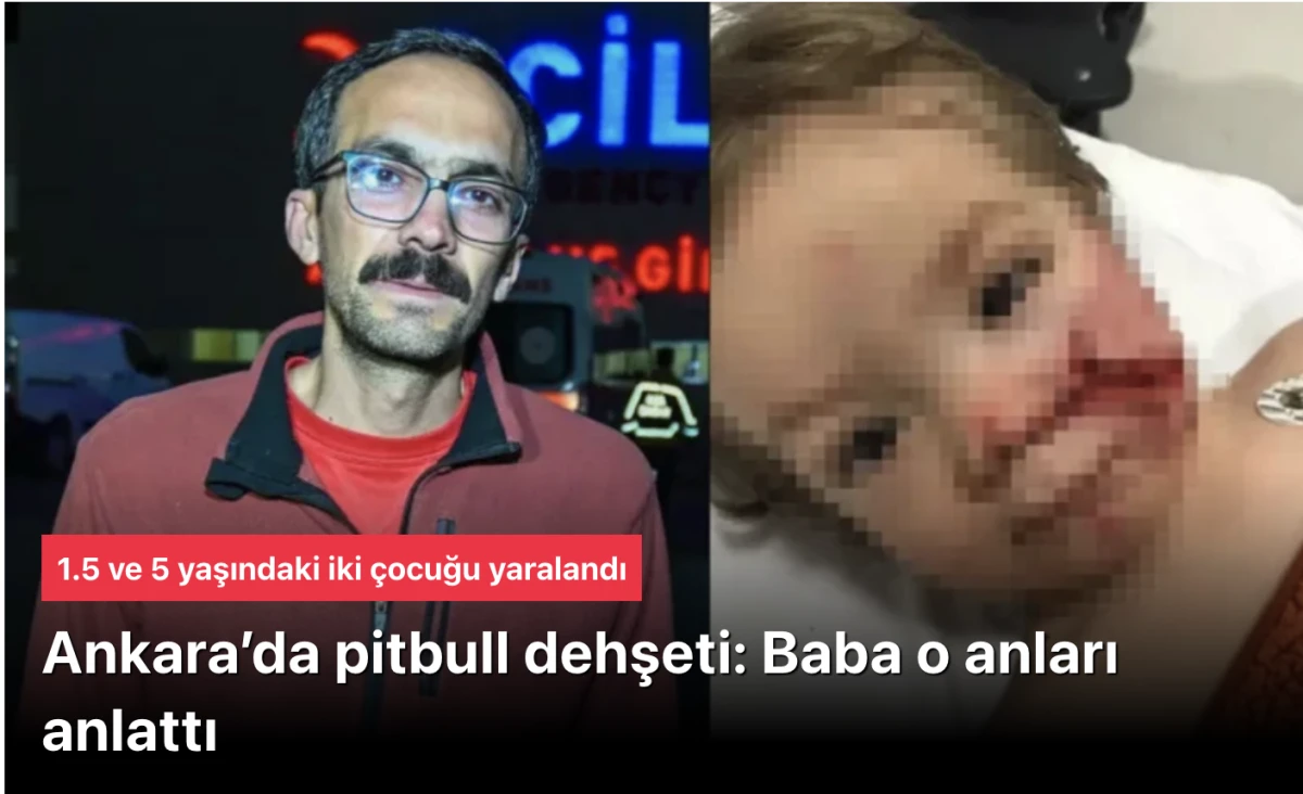 Ankara Pitbull Dehşeti: 1,5 ve 5 Yaşındaki Kardeşlere Saldırı, Sahibi Tutuklandı!