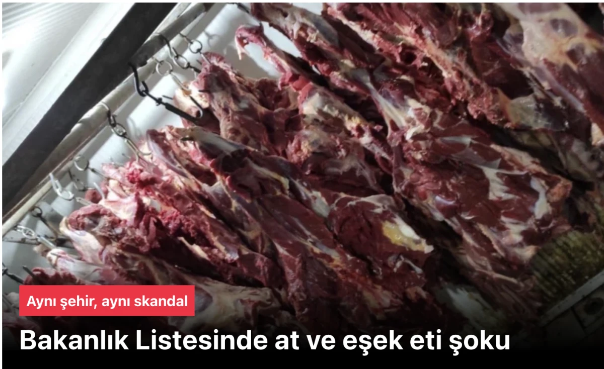 Aynı şehirde ikinci skandal: Bakanlık Listesinde at ve eşek eti şoku