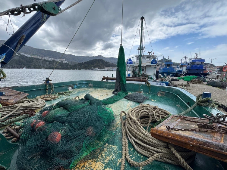 Balık&ccedil;ılar Bu Sezonda Umduğunu Bulamadı: Karadeniz&rsquo;de Hamsi Hari&ccedil; Tam Bir Kayıp Yıl!