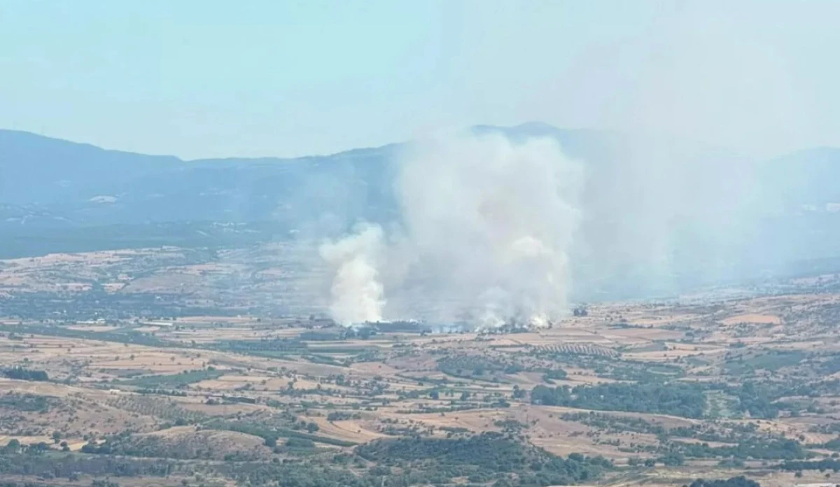 Balıkesir'de Arazi Yangını Paniği Ekipler Seferber Oldu