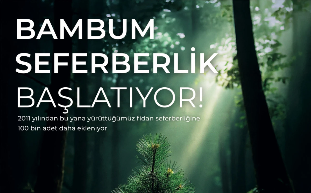 Bambum 100 bin fidan dikiyor!
