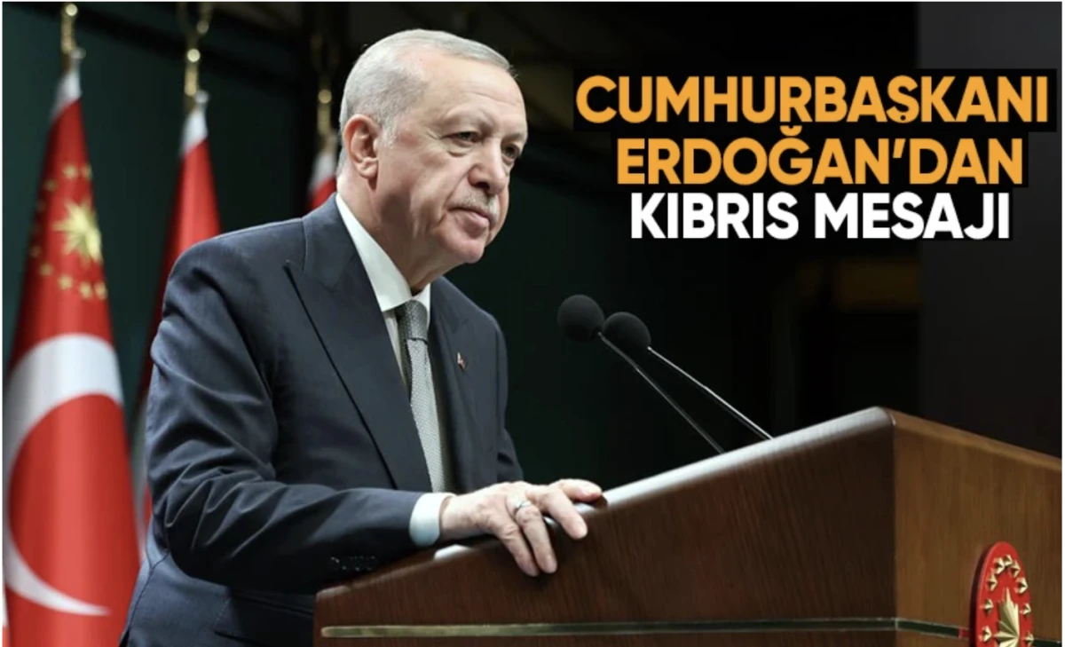Başkan Erdoğan, 20 Temmuz Barış ve Özgürlük Bayramı'nı kutladı