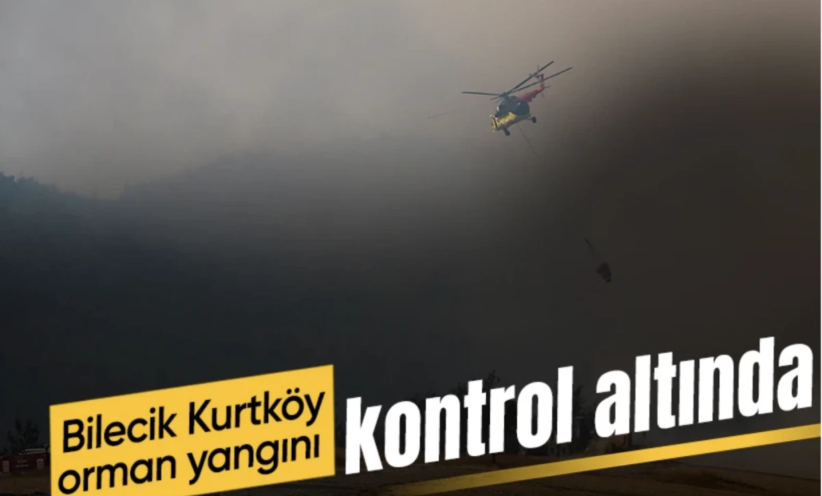 Bilecik Kurtköy'de dün başlayan orman yangını kontrol altında