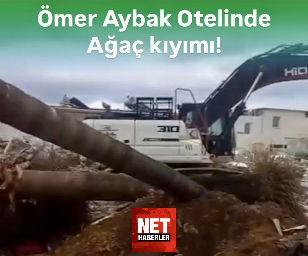 Bodrum &Ouml;mer Aybak Oteli&rsquo;nde Yeni Skandal: Palmiye Ağa&ccedil;ları Ranta Kurban Mı?