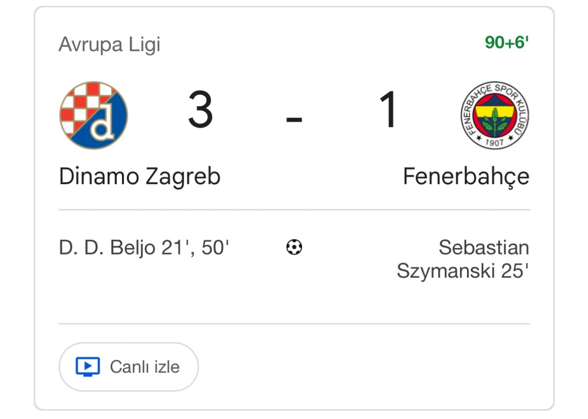 Dinamo Zagreb 3 Fenerbahçe 1