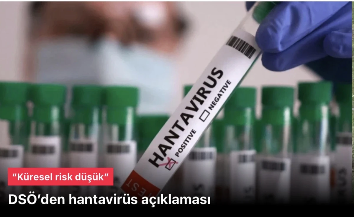 DS&Ouml; hantavir&uuml;s duyurusu: K&uuml;resel risk d&uuml;ş&uuml;k