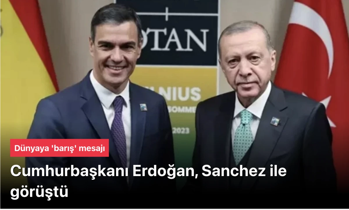 Erdoğan, Sanchez'le g&ouml;r&uuml;şt&uuml;