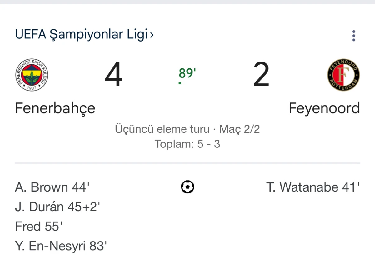 Fenerbahçe 4 Feyenoord 2